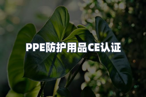 口罩防护类系列CE认证